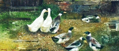 王 元鼎</br>Wang Yuangding