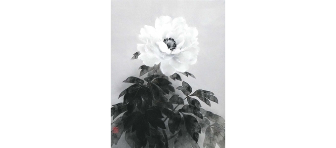 大竹 卓</br>Suguru Otake