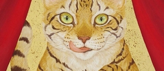 丸山 友紀<br>Yuki Maruyama