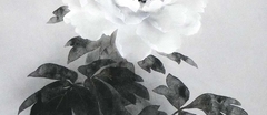 大竹 卓</br>Suguru Ohtake