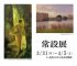常設展 ｜ Permanent Exhibition